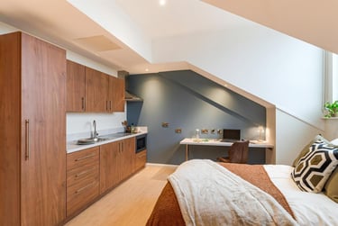 1 bed studio, Elmwood Avenue, Stranmillis, Belfast, BT96AY - Image 5